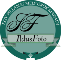 IldusFoto